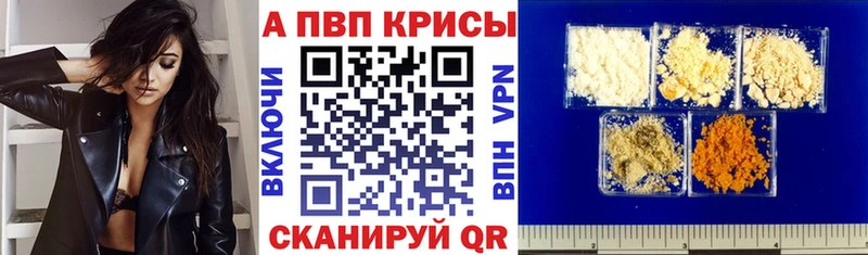 Альфа ПВП СК КРИС  Нальчик 
