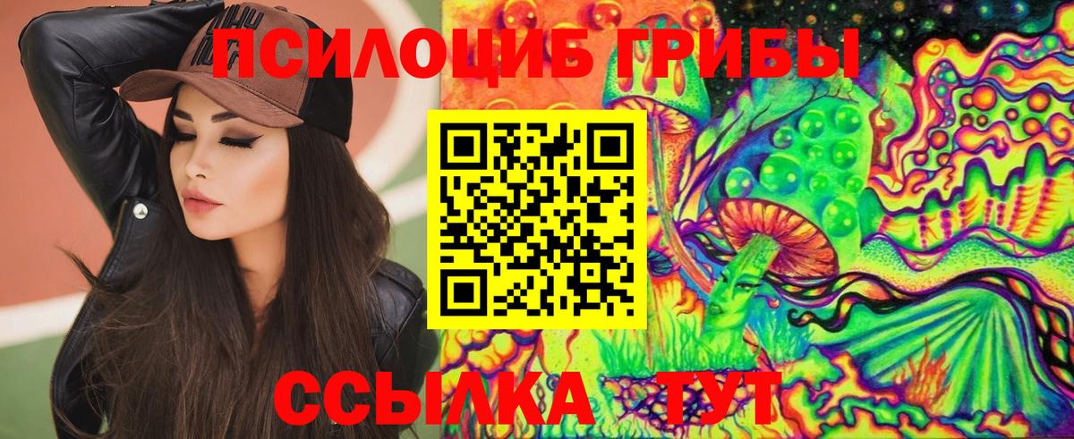 Нальчик  Псилоцибиновые грибы Psilocybe  Галлюциногенные грибы мицелий  Вход с VPN 
