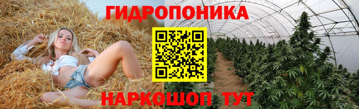 Бошки Шишки конопля Нальчик